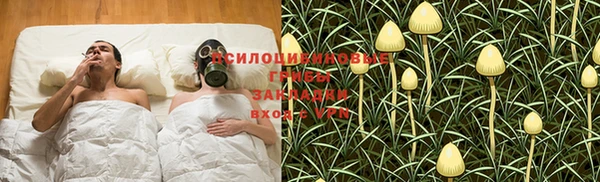 гашишное масло Богданович