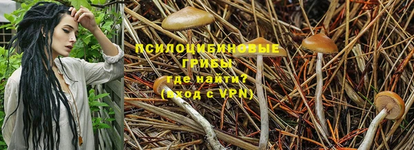 прущие крисы Беломорск