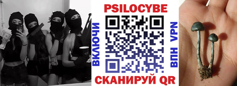 купить наркотики цена  Верхняя Пышма  Псилоцибиновые грибы Magic Shrooms 