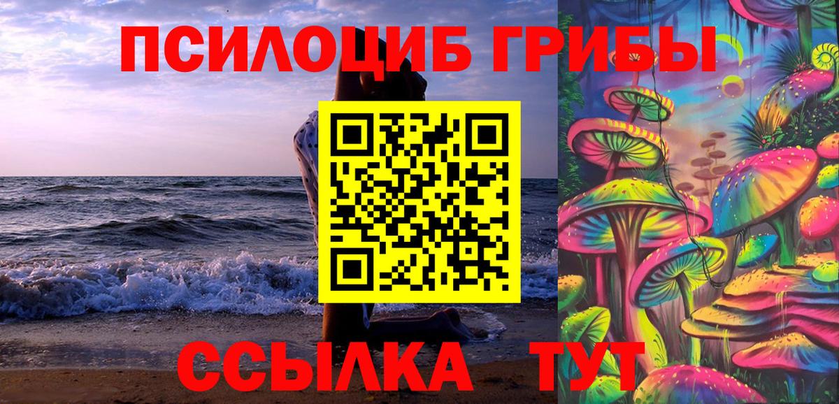 Галлюциногенные грибы прущие грибы  Верхняя Пышма  Галлюциногенные грибы мицелий 