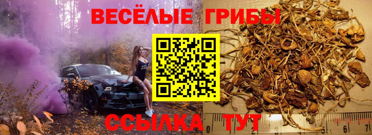 Псилоцибиновые грибы Magic Shrooms Верхняя Пышма